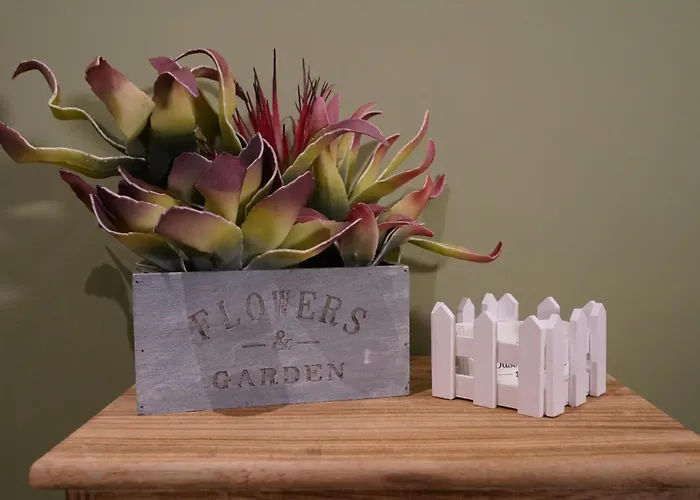 L'Oasi di Venere Bed&Breakfast Caserta